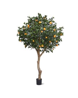 Laranjeira Deluxe Gigante 275cm
