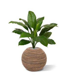 Spathiphyllum King bouquet artificial de 80 cm verde