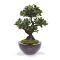 Panda Bonsai árvore artificial sobre base 70cm
