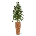 Ficha Artificial Exotica 150cm groen
