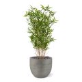 Planta artificial de bambu oriental 100cm