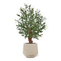 Bonsai de Azeitona artificial planta Deluxe 90cm UV