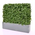 Hedera sebe artificial 80x25x56cm - resistente aos raios UV