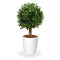 Lâmpada de madeira de caixa planta artificial de luxo 25cm