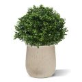 Lâmpada de madeira de caixa de luxo de planta artificial N 40cm - resistente aos raios UV