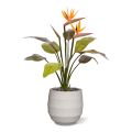 Strelitzia artificial bouquet 75 cm