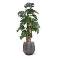 Monstera deluxe x5 planta artificial - 180cm