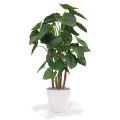 Alocasia Calidora deluxe planta artificial 165cm