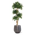 Árvore artificial Acer Bonsai deluxe 170cm - verde