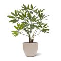 Philodendron Fun Bun Planta Artificial de Luxo 100cm