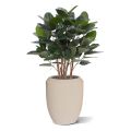 Ficus Audrey Planta Artificial 100cm