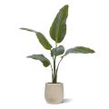 Planta artificial Strelitzia Nicolai 90cm