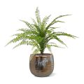 Asplenium Artificial Asplenium Fern Bouquet 45 cm