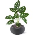 Monstera Adonsonii planta artificiais 40cm