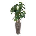 Alocasia Calidora deluxe planta artificial 165cm FR