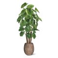 Alocasia Calidora Árvore artificial gigante de luxo 210 cm
