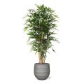 Bambu Artificial Deluxe 180 cm