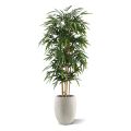 Árvore de bambu artificial 180 cm