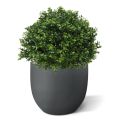 Lâmpada de madeira de caixa planta artificial de luxo 40cm