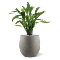 Calathea planta artificial 60cm - verde