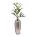 Kentia Palmeira Artificial Deluxe 135 cm