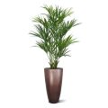 Kentia deluxe palma artificial XL 190cm