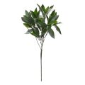 Louro ramo artificial de louro 50cm - resistente aos raios UV