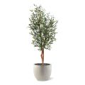 Oliveira artificial 150cm UV