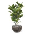 Lyrata planta artificial 95cm