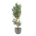 Árvore artificial de oliveira 150cm