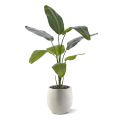 Planta artificiais Strelitzia Nicolai 120cm
