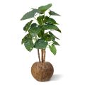 Alocasia Calidora deluxe planta artificial 125cm