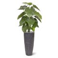 Planta artificial Alocasia Calidora 115cm