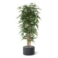 Árvore de bambu artificial 210cm