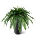 Boston Fern Giant D95 planta artificial