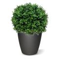 Bola de madeira de caixa de luxo planta artificial N 60cm - resistente aos raios UV