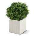 Lâmpada de madeira de caixa de luxo de planta artificial 50cm - resistente aos raios UV
