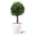 Bola Artificial Boxwood Deluxe Nova 25 cm UV