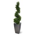 Árvore artificial de luxo em espiral de madeira de caixa 100cm - resistente aos raios UV