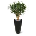 Draceana Reflexa Anita XL1artificial planta 120cm