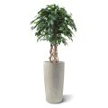 Bola de Ficus Exotica Artificial 125 cm