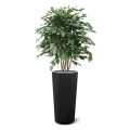 Ficus Exotica XL planta artificial 110cm