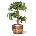 Árvore artificial Ginkgo Bonsai deluxe 95cm