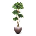 Ginko Bonsai árvore artificial de luxo 170cm