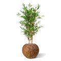 Planta artificial japonesa de bambu 120cm - resistente aos raios UV