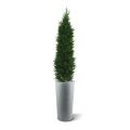 Artificial Conifer deluxe 150cm - resistente aos raios UV