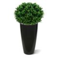 Lâmpada Artificial Buxus deluxe 70cm - resistente aos raios UV