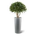 Bola de louro em planta artificial de caule 70cm