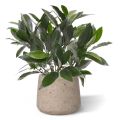 Planta artificial de louro 35cm - resistente aos raios UV