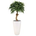 Longifolia Royal árvore artificial no caule 90cm